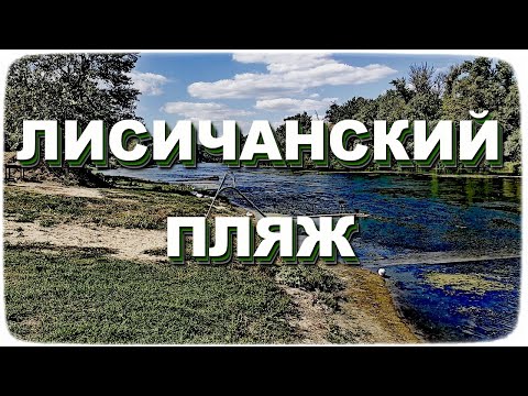 Видео: ЛИСИЧАНСК | Пляж на реке Северский Донец