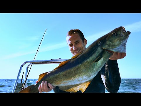 Видео: Подводная охота и кемпинг на островах Силли — Часть 1
