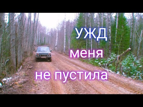 Видео: УЖД не пустила. Ушел в поля