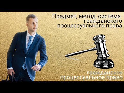 Видео: Предмет, метод, система и задачи гражданского процессуального права (стрим Николая Шалаевского).
