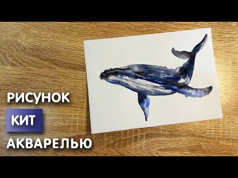 Видео: Как нарисовать кита карандашом и акварелью начинающим | Рисунок для детей