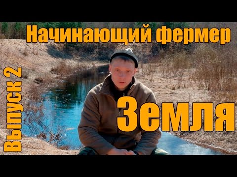 Видео: Берем землю под пасеку