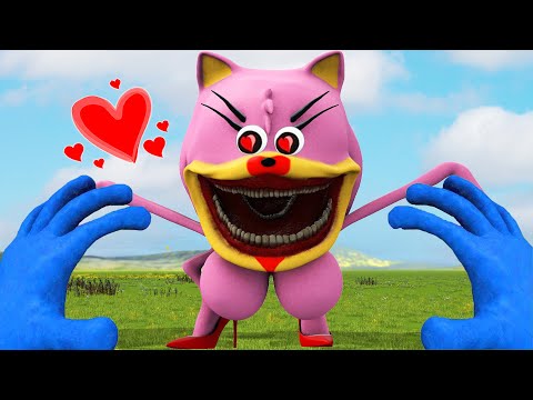 Видео: SHIN SONIC AMY TAPES LOVE STORY против SONIC TAPE. Кто из них ГЛАВНЫЙ в GMOD!