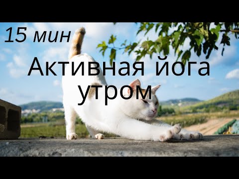 Видео: ☕️ Йога утром 15мин
