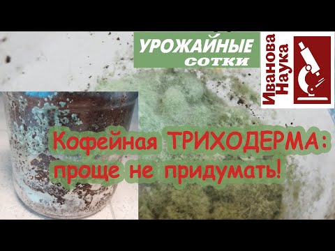 Видео: Отличное решение для ваших растений: КОФЕЙНАЯ ТРИХОДЕРМА!