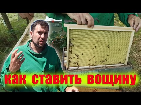 Видео: Когда подставлять вощину. Как и когда подставлять вощину пчелам . Доставили корпус вощины  8 рамок