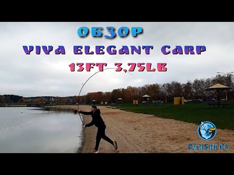 Видео: Обзор. Карповое удилище VIVA ELEGANT CARP 13ft 3.75lb