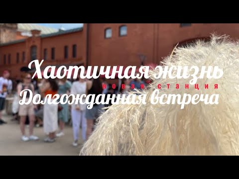 Видео: Vlog 18| Алиса, поход с подругой по азиатским кафе, летний OSM