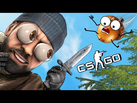 Видео: ЖЕЛУДЬ VS ГЛУПЫЙ ТРОЛЛЬ - ПРЯТКИ CSGO