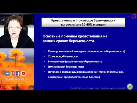 Видео: Экспертология | Кровотечение в ранние сроки беременности Пустотина О.А.