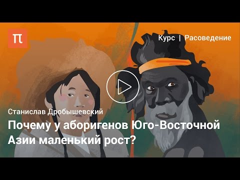 Видео: Негрито — Станислав Дробышевский