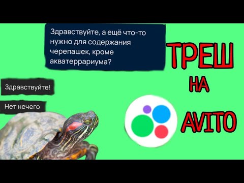 Видео: ЧЕРЕПАШИЙ ТРЕШ НА AVITO!!!