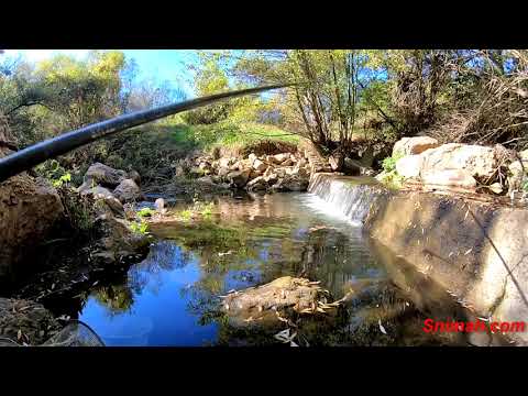 Видео: Паралелна реалност - река Матица край Столник
