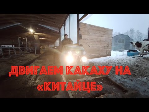 Видео: Уборка навоза в коровнике