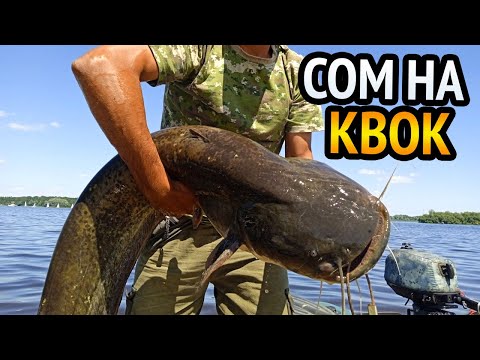 Видео: МЕЛКИЕ СОМИКИ долго испытывали наше ТЕРПЕНИЕ. А ПОТОМ!!! Рыбалка на СОМА С КВОКОМ.