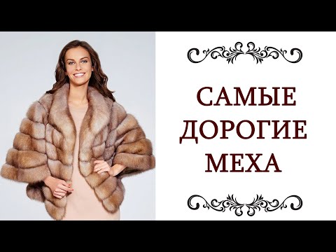 Видео: САМЫЕ ДОРОГИЕ МЕХА ❤️ мех и шубы из викуньи, соболя, горностая, шиншиллы, норки, рыси @olgaadias