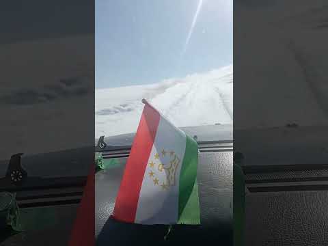 Видео: 27 февраля 2025 г.