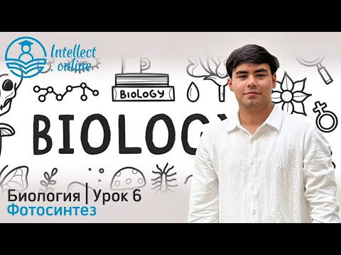 Видео: Биология | Фотосинтез | Урок 6