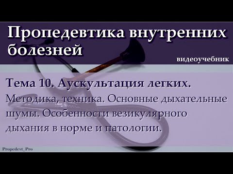 Видео: Тема 10. Аускультация легких. Основные дыхательные шумы.