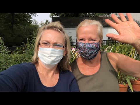 Видео: В гости к орхоману! Хобби - окружать себя красотой.. Выращивание орхидей в Америке, Пенсильвания.
