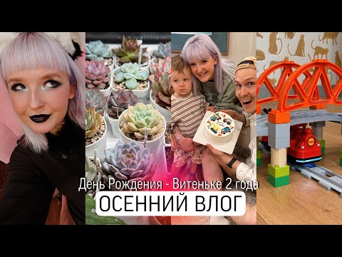 Видео: ОСЕННИЙ VLOG 🍁 День Рождения - Вите 2 ГОДИКА / Хэллоуин / Покупки / Лепим тыковки