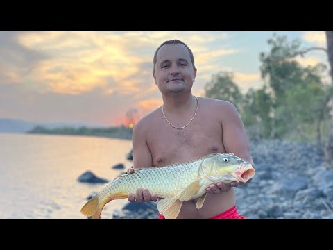 Видео: Карповая рыбалка на Кинерете с ночёвкой. Завоз на лодке.