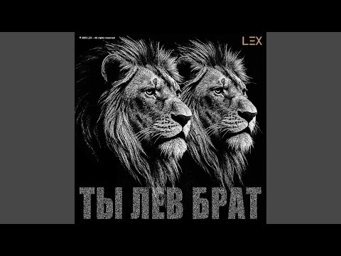 Видео: Ты что за лев брат (Energy Version)