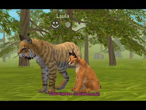 Видео: Мини фильм WildCraft моя история /ЧИТАТЬ ОПИСАНИЕ 