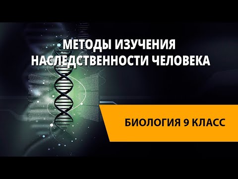 Видео: Методы изучения наследственности человека