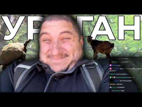 Видео: ИМАШЕ УРАГАН В ЗООПАРКА