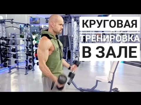 Видео: Круговая тренировка в зале