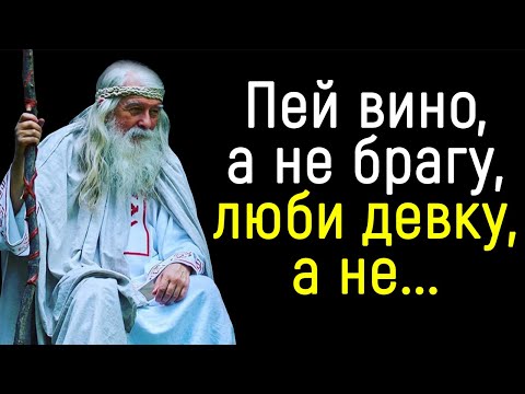 Видео: Короткие, но Невероятно Мудрые Русские Пословицы и Поговорки | Цитаты, афоризмы, мудрые мысли.