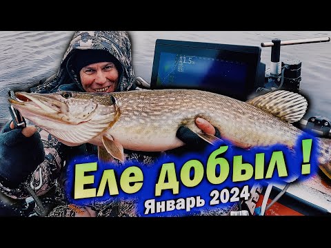 Видео: Первая щука 2024 с Panoptix LiveScope
