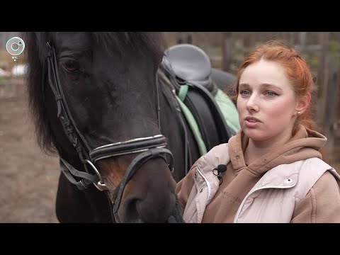 Видео: НОВОСТИ в 20:30 – 24 октября 2024