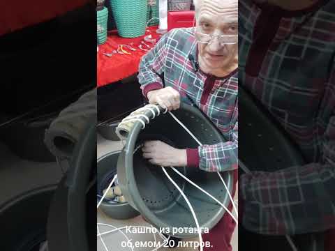 Видео: 9 октября 2025 г.