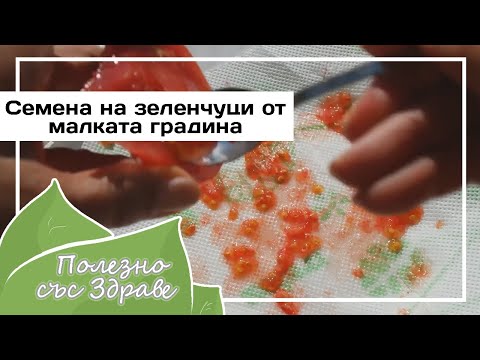 Видео: Семена овощей из маленького сада - семена помидоров, перца