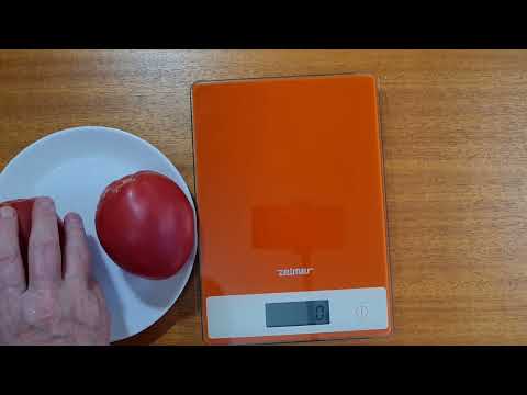 Видео: Дегустация и обзор сортов томатов . Начало августа 2025 г. 