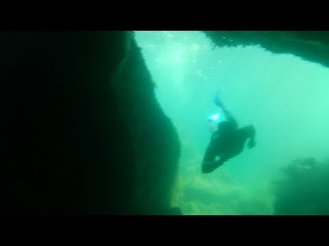 Видео: Подводная охота Форос