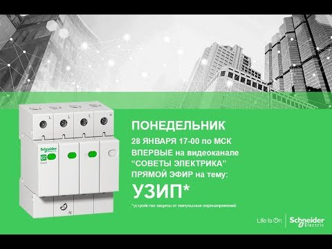 Видео: УЗИП- выбор, требования, предложение. Онлайн-трансляция от 28.01.19