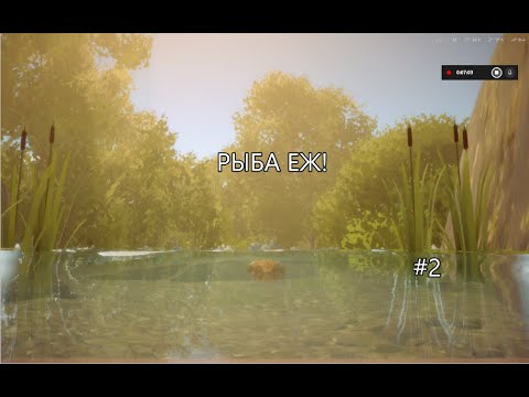 Видео: Я - ПРОСТО РЫБА КОТОРАЯ ХОЧЕТ ПОПЛАВАТЬ В ОКЕАНЕ #2 // I am fish