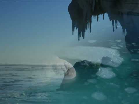 Видео: Сахалин северный, белое безмолвие, Охотское море. Елена Акшенцева