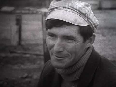 Видео: Как  мы жили в СССР-1975 год- Бросок