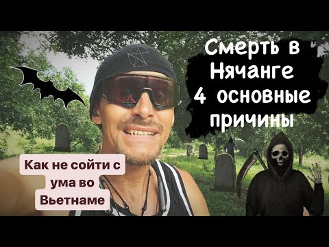 Видео: Как сохранить жизнь в Нячанге и не сойти с ума. Вьетнам 2023