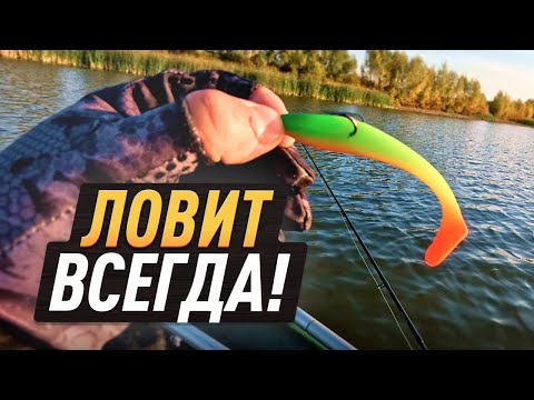 Видео: ЭТОТ СИЛИКОН ПОЙМАЕТ ТЕБЕ ТРОФЕЙ! ОХОТА ЗА ОСЕННЕЙ ЩУКОЙ