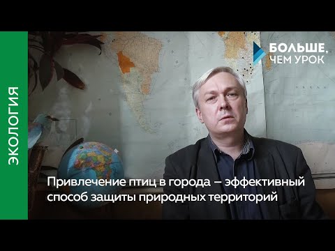 Видео: Привлечение птиц в города – эффективный способ защиты природных территорий