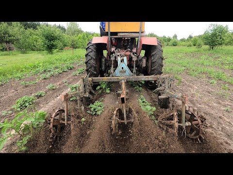 Видео: Село і люди. Картопля і кабачки, обробка землі. КПП Т-25.