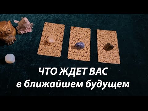 Видео: ⏳⏰Что Вас ждет в ближайшем будущем /Таро прогноз на неделю 🕰Тиана Таро