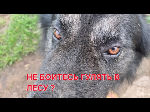 Видео: ОНИ ОТ НАС ПРЯТАЛИСЬ НО МЫ ИХ НАШЛИ