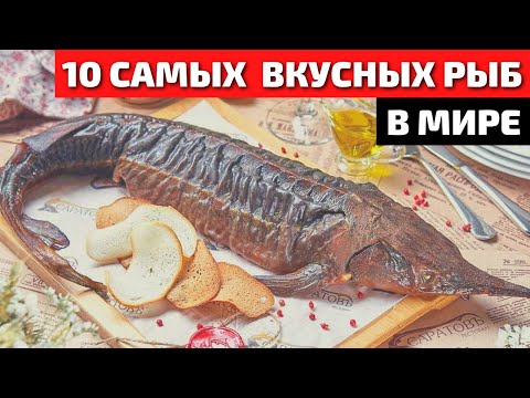 Видео: Топ 10 Самой Вкусной и Полезной Рыбы в Мире | Самая Вкусная Рыба | Самая Полезная Рыба