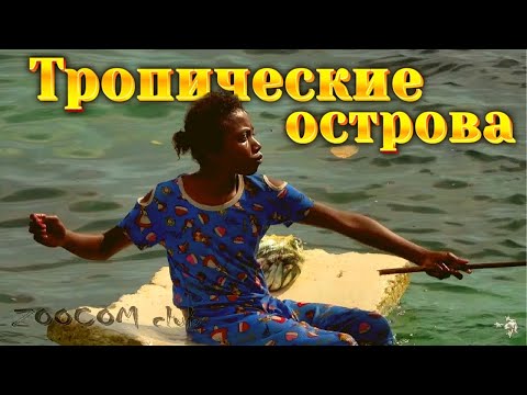 Видео: Уходим на острова. Хоумстеи, море, папуанская деревня. Серия 4.